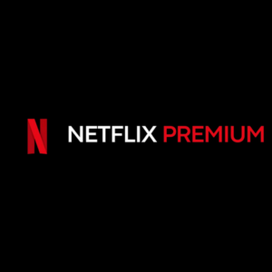 Netflix Premium Anual